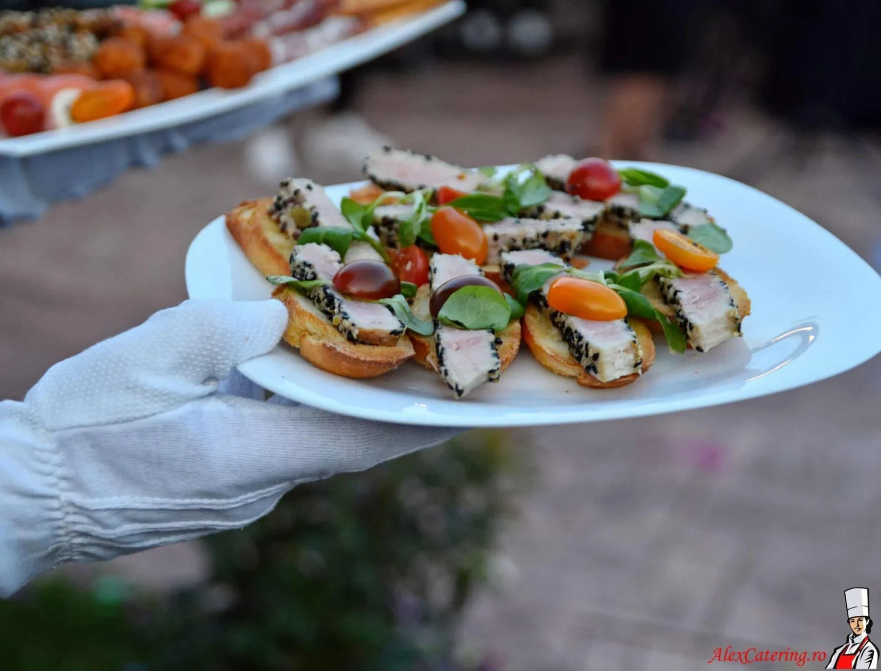 Galerie Foto 8 bruschete servire chelner catering bacau